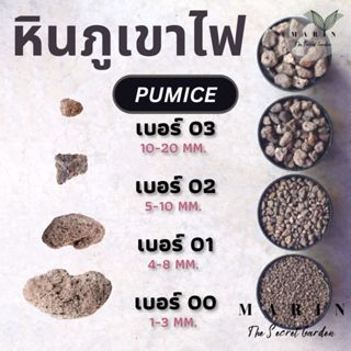 หินภูเขาไฟ Pumice แบ่งขาย 1 ลิตร วัสดุปลูกคุณภาพสูง มีครบทุก…