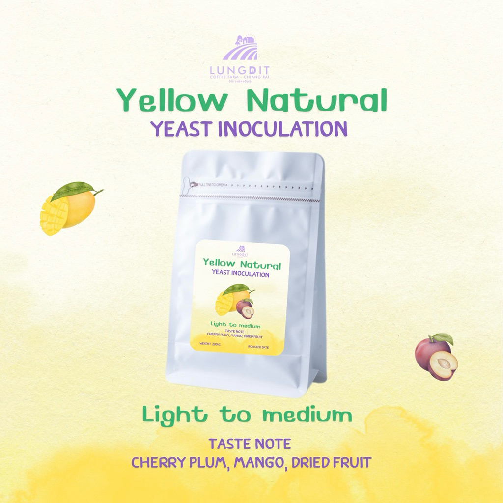 เมล็ดกาแฟคั่วขุนลาว Yellow natural yeast inoculation 200 g.