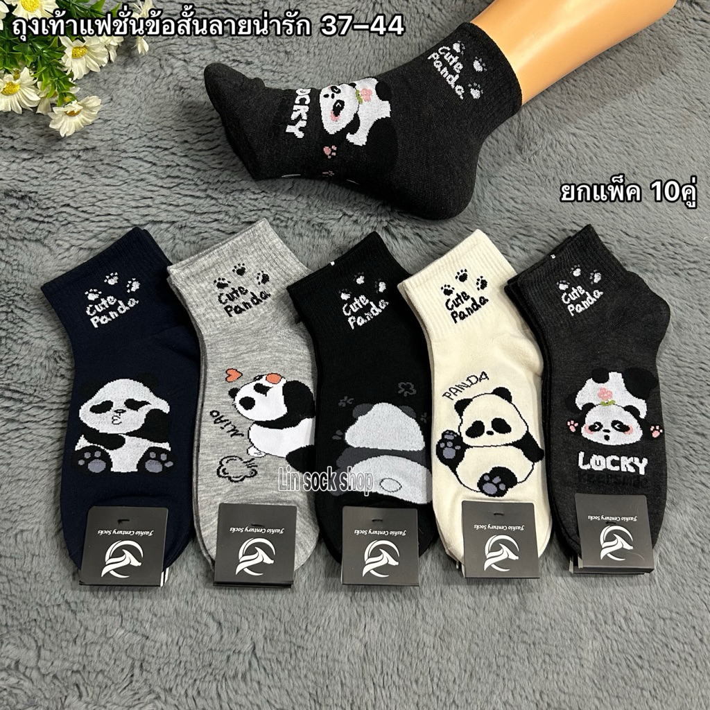 รูปภาพ 7