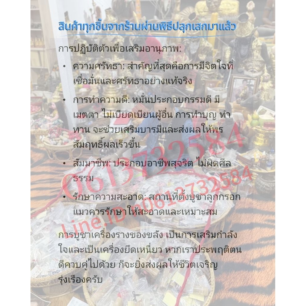 ลูกกรอกแมว: ของแท้หายาก พารวย พาดัง รวยไม่จน ราคาต่อชิ้น รูปที่ 4