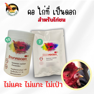 เฮอริเคนไก่ชน คอดอกไก่ ไม่ต้องแคะ ไม่ต้องแกะ ไม่ต้องเป่า