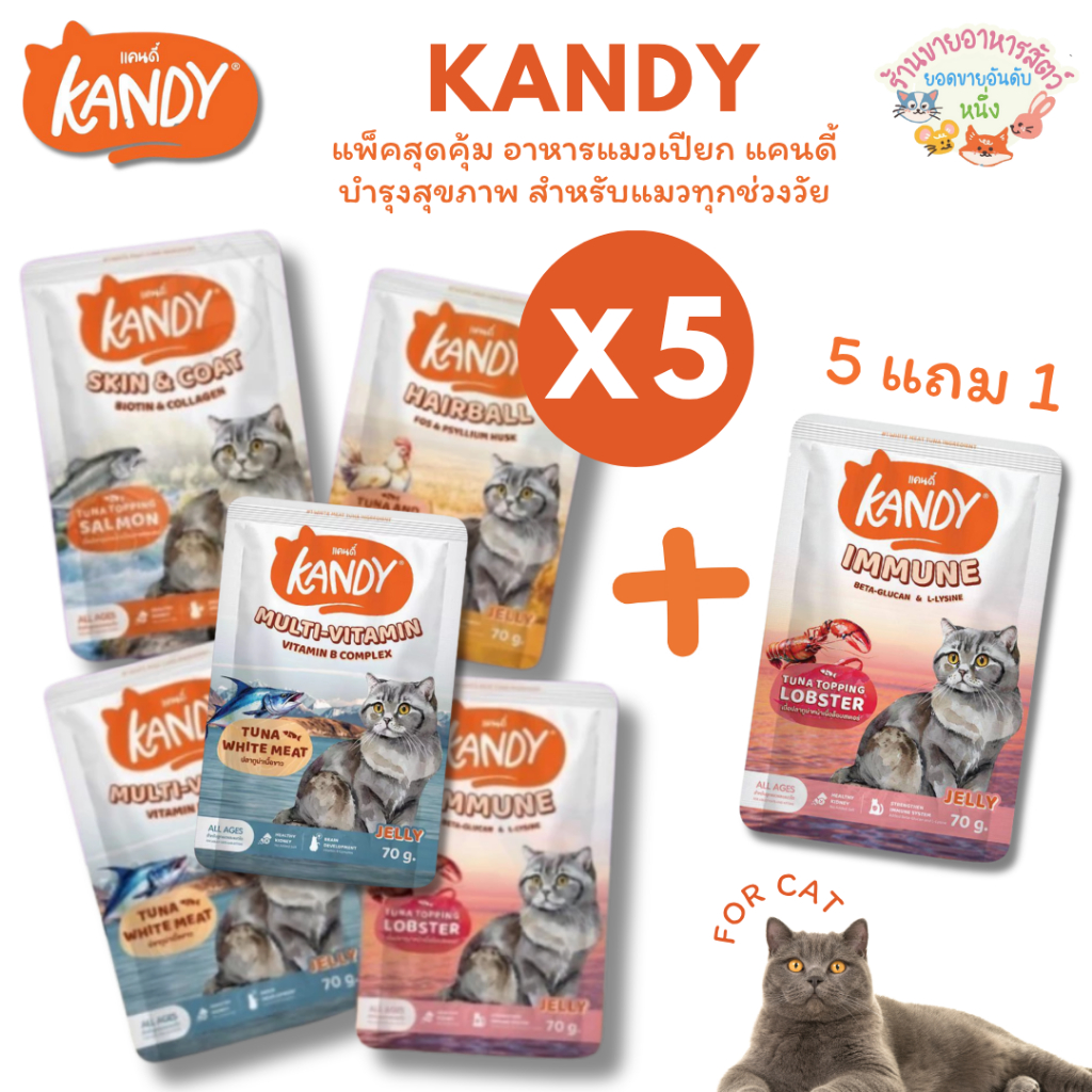 {5แถม1🔥} Kandy อาหารเปียก Holistic Grain Free ทูน่าเนื้อขาว ไม่เติมเกลือ สูตรดูแลสุขภาพ 70 กรัม