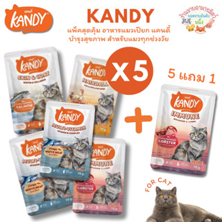 {5แถม1🔥} Kandy อาหารเปียก Holistic Grain Free ทูน่าเนื้อขาว …