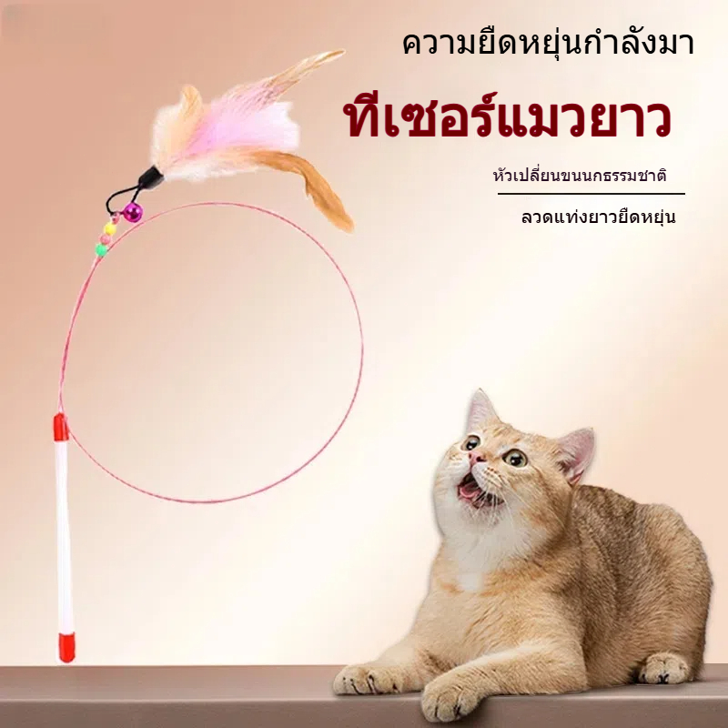 Coco.pet หยอกล้อแมวไม้ขนนกสไตล์หลากหลายสี、เล่นกับแมว、ของเล่นแมว. อุปกรณ์แมว