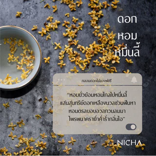 ชาคาโมมายล์เก็กฮวย Chamomile Chrysanthemum Tea ชาผ่อนคลาย ชาช่วยนอนหลับ ไม่มีคาเฟอีน 25ซอง Nichatea