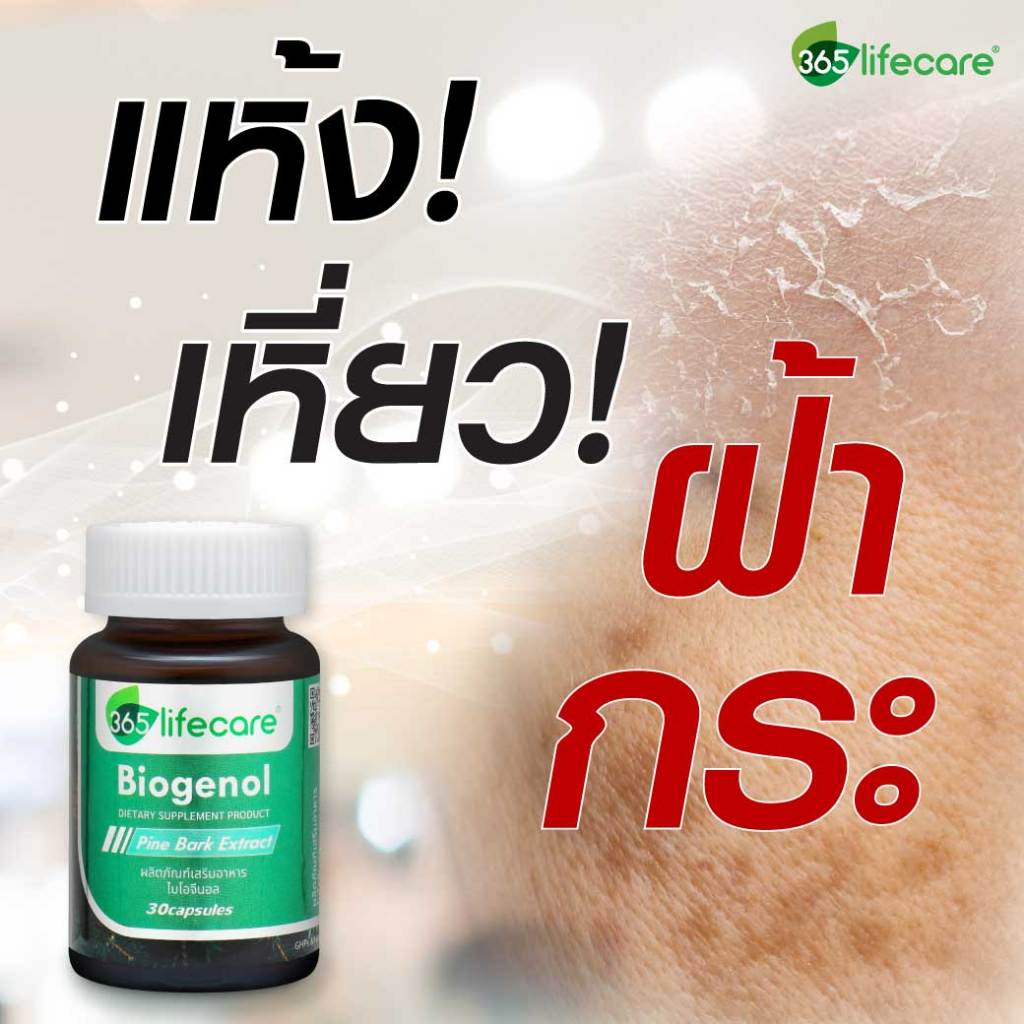 365Lifecare Biogenol Pine Bark Extract 30แคปซูล. 365 ไลฟ์แคร์ ไบโอจีนอล 365wecare