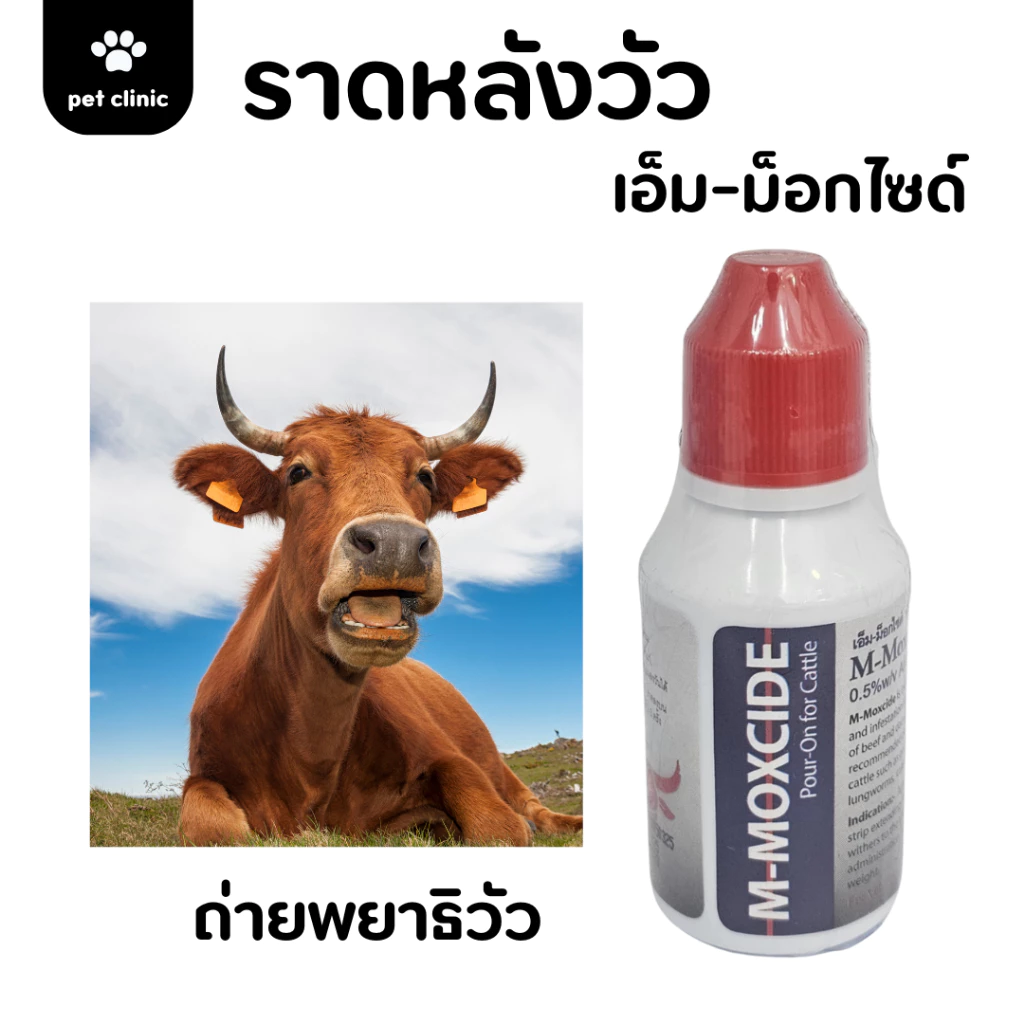 เอ็มม็อกไซด์ ถ่ายพยาธิวัว ราดหลังวัว น้ำยากำจัดเห็บ หมัด ไร ขี้เรื้อน ในสัตว์เลี้ยง ขนาด 30ml
