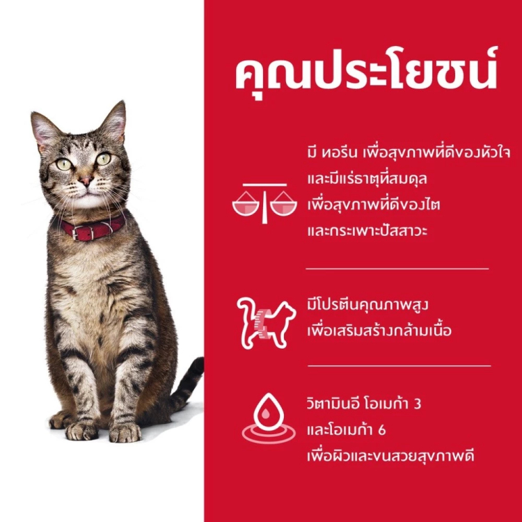 [กระสอบ] Hill's ฮิลส์ อาหารแมว สูตร Science Diet Adult 1-6 สำหรับ แมวโต บำรุงขน คุมแร่ธาตุ รสไก่ อายุ 1-6 ปี ขนาด 10 kg - รูปที่ 2