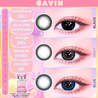 🔥คอนแทคเลนส์ Silicone Hydrogel❤️Size : XL❤️Gavin - Sakura (Kissylens) Brown / Gray / Black