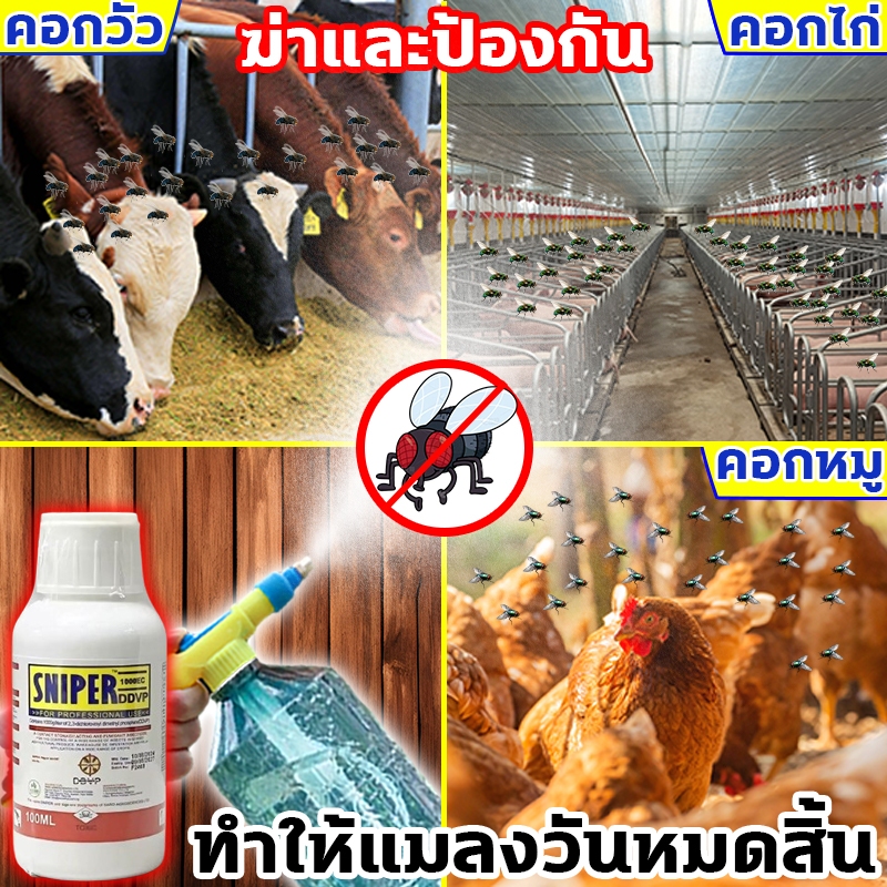 ยาฉีดแมลงวัน ได้ผล100%  ฆ่าแมลงวันมด 50000 ใน1วิ สเปรย์ไล่แมลงวัน 15L ไล่แมลงวัน ยาฆ่าแมลงวัน อ่อนโยนและไม่ระคายเคือง