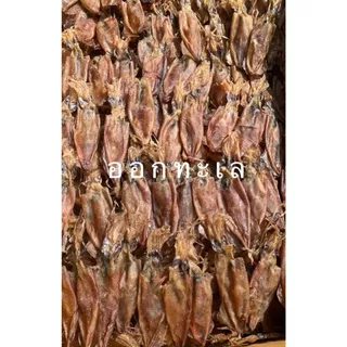 หมึกกะตอยไข่-(ใหญ่) ออร์แกนิค ทำแบบธรรมชาติ เนื้อจะมันๆๆ กินกับแกง อร่อยมาก