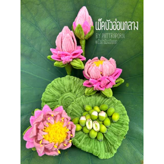 เม็ดบัวสด เม็ดบัวปอกเปลือก พร้อมทาน
