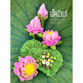 เม็ดบัวสด เม็ดบัวปอกเปลือก พร้อมทาน
