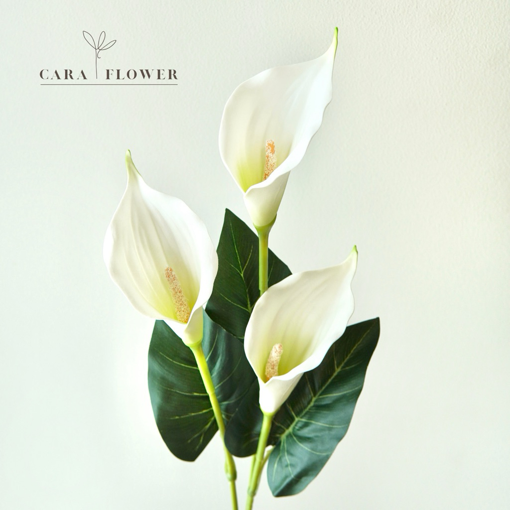 Calla lily | ดอกคาลล่าลิลลี่ปลอม ดอกไม้ประดิษฐ์ ดอกไม้ปลอม ไว้ตกแต่งบ้าน (C11)[พร้อมส่ง]