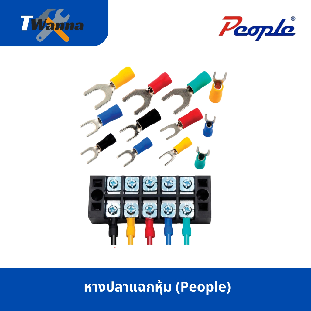 หางปลาแฉกหุ้ม อย่างดี (People)