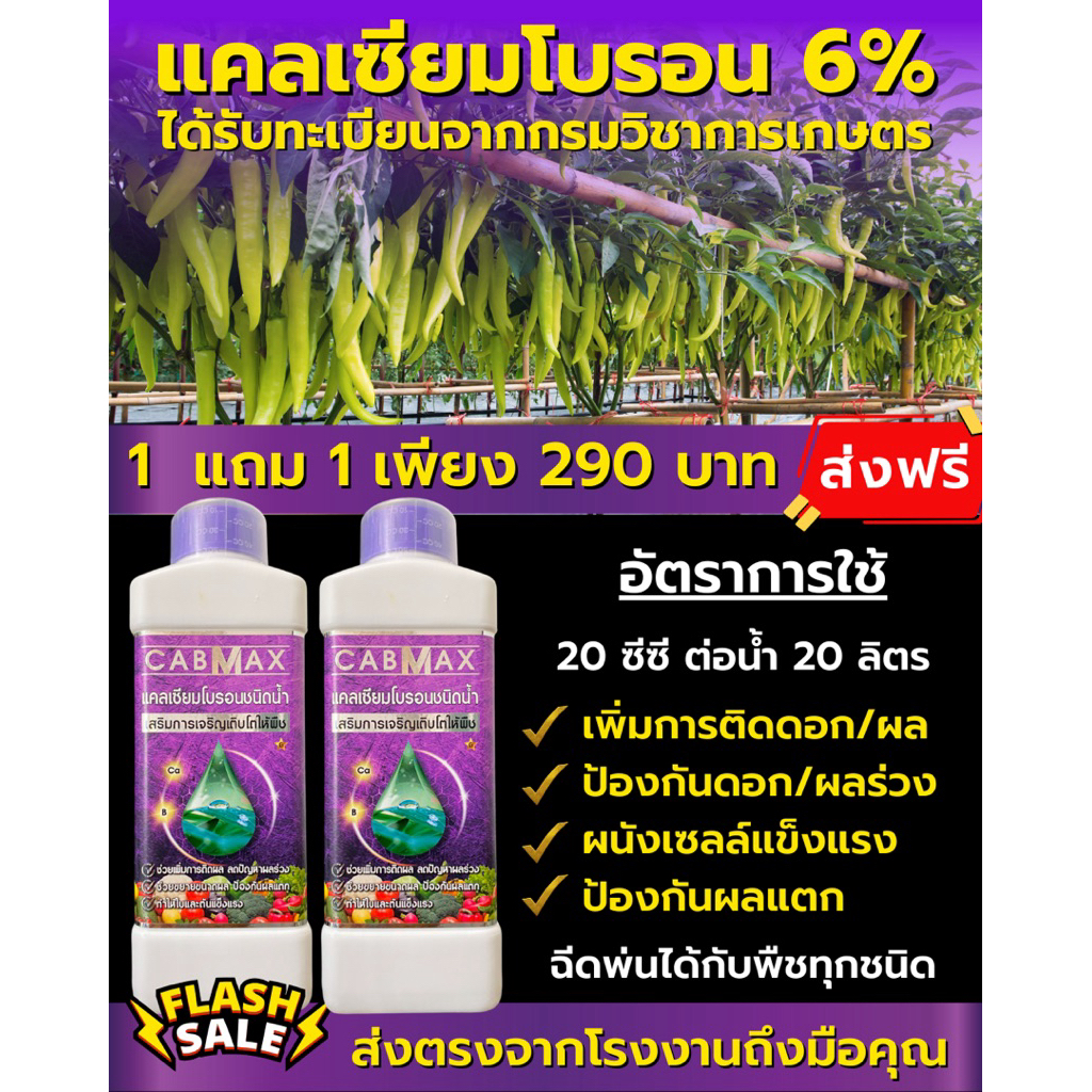 Zenmax , Vamax , Cabmac , Bionax อะมิโน รวม , ปุ๋ยน้ำ สูตรรวม , สารจับใบ  โปร 1 แถม 1 - รูปที่ 4