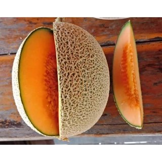 เมล็ดพันธุ์ เมล่อนญี่ปุ่น เนื้อส้มโมมิจิ คัดพิเศษ 5-40 เมล็ด [ 10เเถม 1คละได้ ]