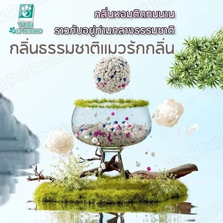 【PETStar1】🥇ทรายแมวเบนโทไนท์ ดูดซับดี ไร้กลิ่น ไม่มีฝุ่น🥇ลดฝุ่น 99% - ทรายแมวคุณภาพพรีเมี่ยม ปลอดภัยต่อระบบทางเดินหาย