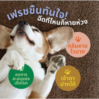 Hana Pet สเปรย์กำจัดกลิ่นทรายแมว ฉี่แมว ฉี่สุนุัข Misty Fresh กำจัดเชื้อโรค ดับกลิ่น ขนาด 300 ml