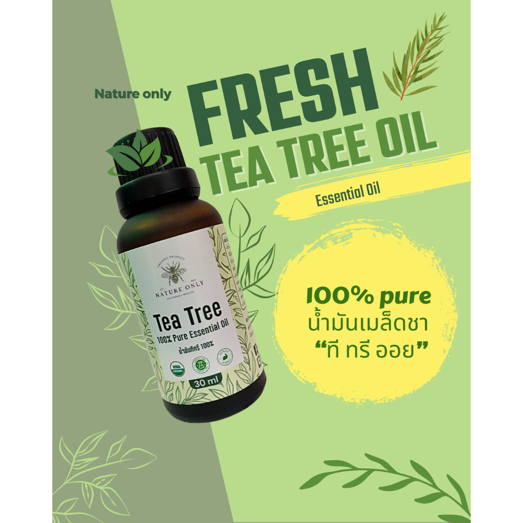 Tea Tree Oil 100% น้ำมันเมล็ดชาหรือน้ำมัน ทีทรี ออย ขนาด 10 มล ใช้แต้มสิว อักเสบ ผื่นคัน - รูปที่ 2