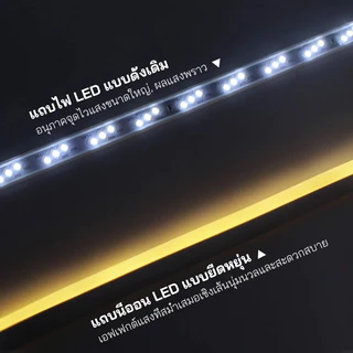 ไฟแถบนีออน Neon Flex LED ดัดงอได้ ยาว3/15/30ม สีสวยกันน้ำแรงดัน 220V เหมาะแก่การตกแต่งบ้าน ต่อปลั๊กให้พร้อมใช้งาน