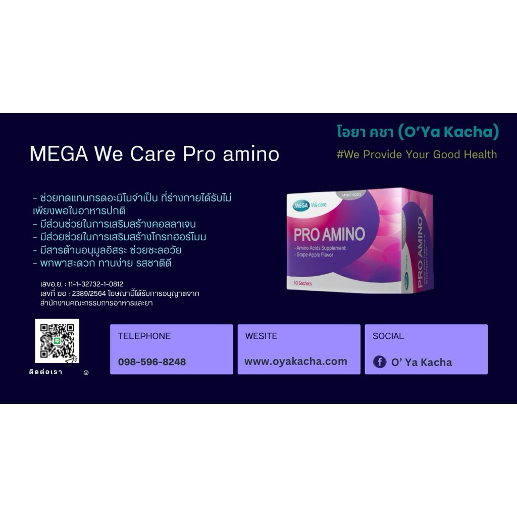 Pro Amino Mega We Care