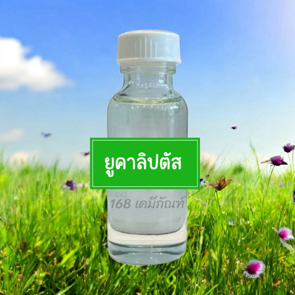 น้ำมันยูคาลิปตัส กลิ่นยูคาลิปตัส ปริมาณ 30 ml.