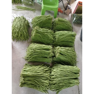 เมล็ดพันธุ์ถั่วฝักยาวพิจิตร 3 พันธุ์ดก 50 เมล็ด 39 บาท