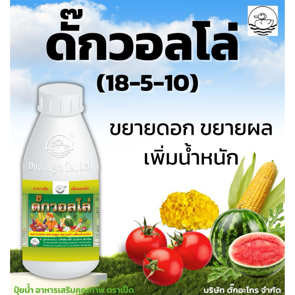 ปุ๋ยน้ำ ดั๊กวอลโล่ (15-5-10) ขยายดอก ขยายผล เพิ่มเนื้อ น้ำหนักดี ขนาด 500/1000 ซีซี