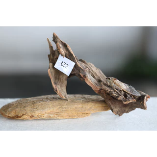 ตอไม้ Driftwood ( คัดเกรด ) set t