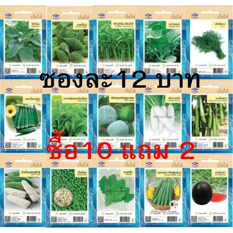 รูปภาพ 2