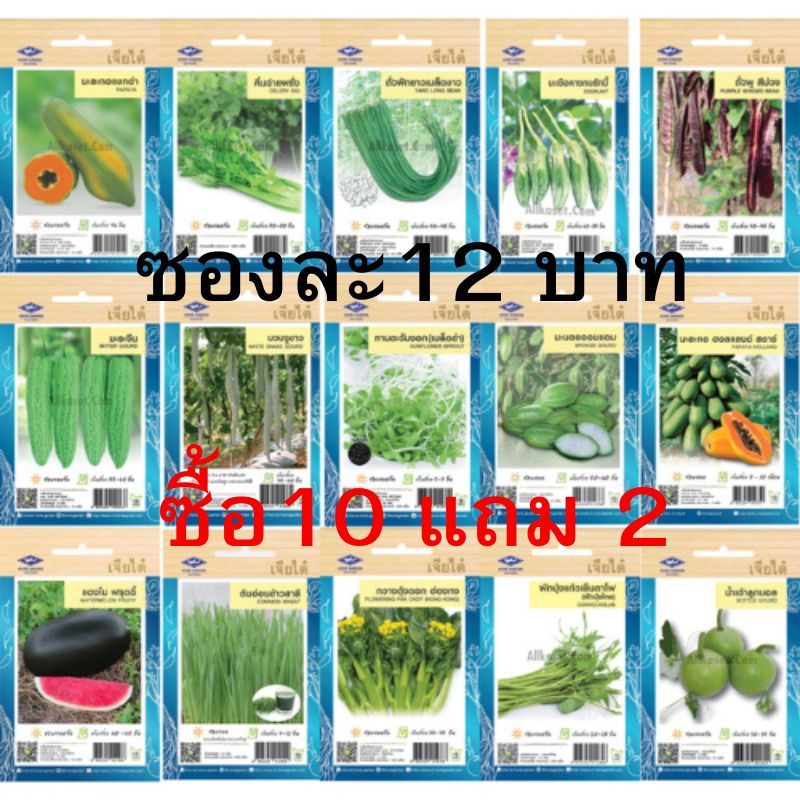 รูปภาพ 5