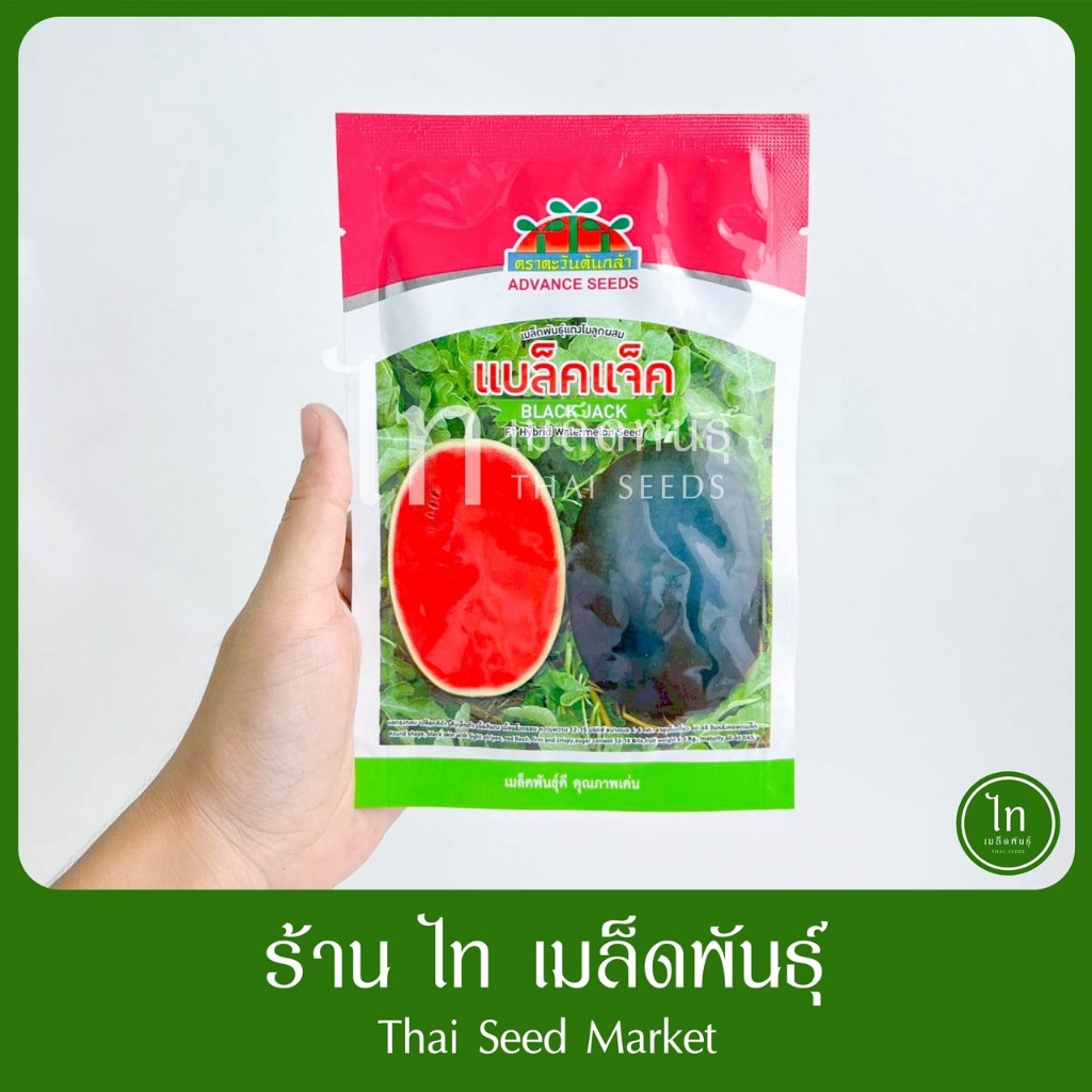 แตงโม แบล็คแจ็ค เมล็ดพันธุ์ แตงโม ลูกผสม ตรา ตะวันต้นกล้าต๋ บรรจุ 40 กรัม ราคา ถูกที่สุด ดีลบีเคเค