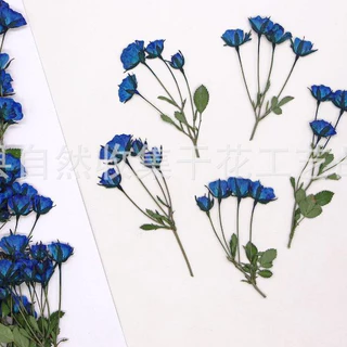 [12 ชิ้น Moonwei ดอกไม้ 🌹】 ดอกไม้แห้งลายนูน Bouncer ทำด้วยมือวัสดุ DIY พร้อมจัดส่ง