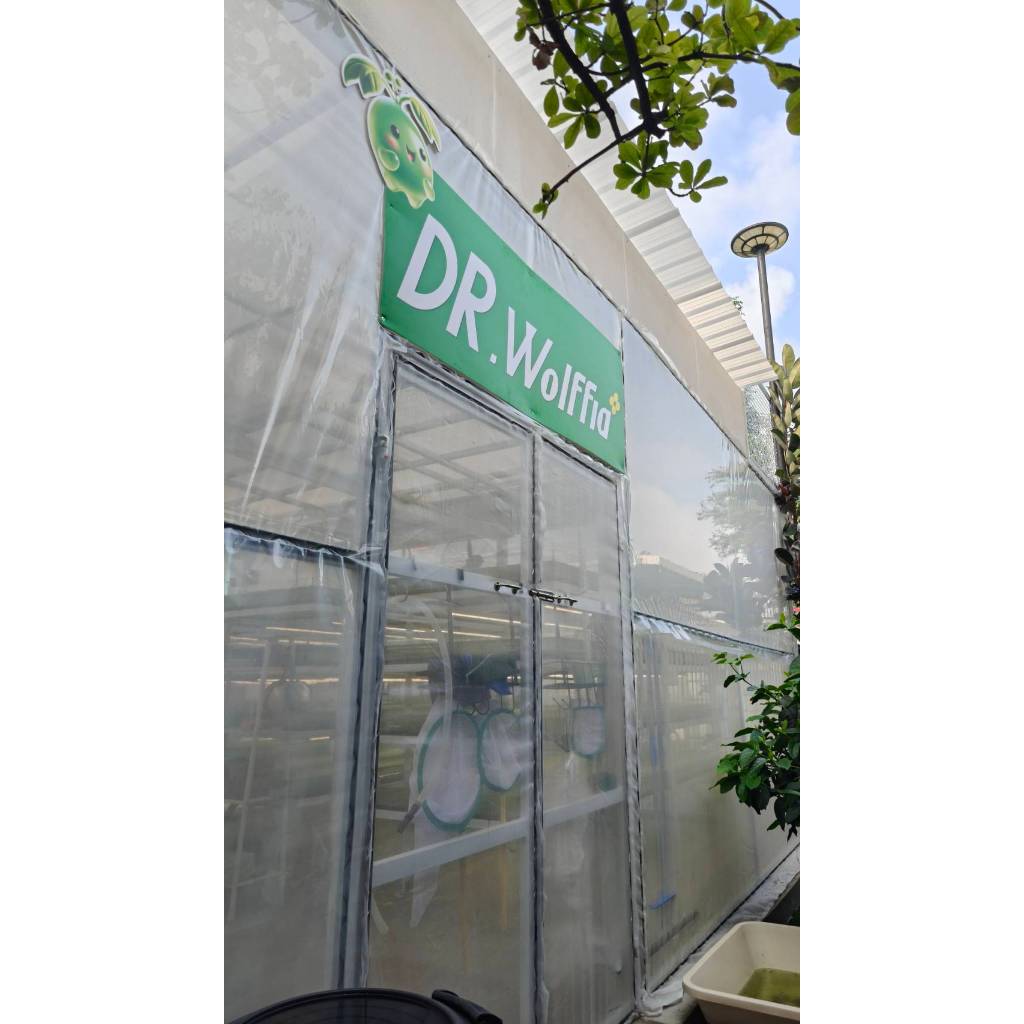 ไข่ผำอบแห้ง100% DR.Wolffia โรงเรือนได้รับมาตรฐาน GMP  ผลิตจากไข่ผำ 100% ผ่านการอบสุก ไม่ผสมสารกันเสีย มีทั้งแบบ บดละเ - รูปที่ 5