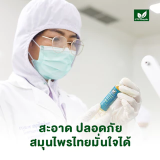 [ลด 20.- CODE : BOWORNVEJ] (6 ขวด) น้ำมันสมุนไพร 801 บวรเวช ขนาด 20 มล | บรรเทาปวดเมื่อย คลายเส้น แก้เคล็ดขัดยอก ใช้ง่าย