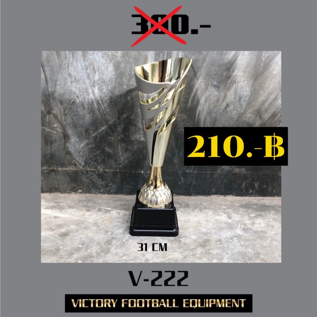 ถ้วยรางวัล รุ่น SL75 | สูง 31 cm  (V222)
