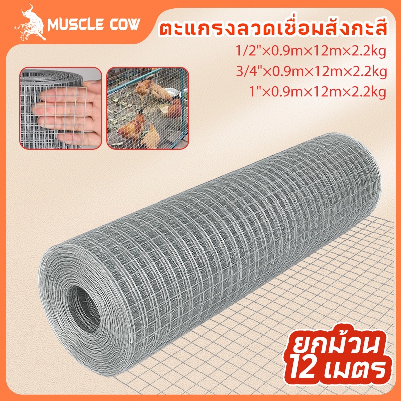 🎈ยกม้วน12m-2.2kg🎈Welded wire mesh ลวดตาข่ายสี่เหลี่ยมชุบกัลวาไนซ์ ตะแกรงกรงไก่นก ตาข่ายลวดเอนกประสงค์ปูพื้นผนัง สูง90cm