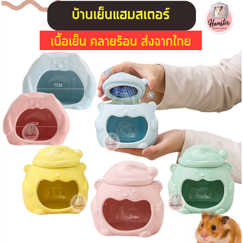 [Hamsterthailand] บ้านเซรามิค เซรามิค คลายร้อน บ้านเย็น แฮมสเตอร์ บ้านแฮมสเตอร์ แผ่นเย็น ถ้วยอาหาร ถ้วยเซรามิค