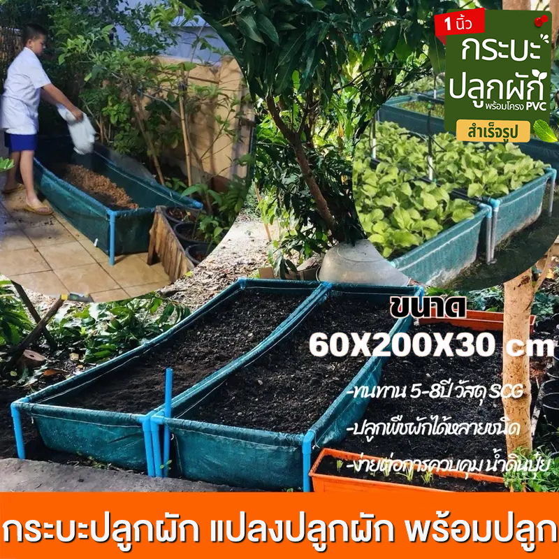 【สินค้าพร้อมส่ง】กระบะปลูกผัก​ (พร้อมโครง/ไม่รวมโครง)​ขนาด​ 60x200x30 cm.​ กะบะเพาะปลูก แปลงผักเพาะปลูก