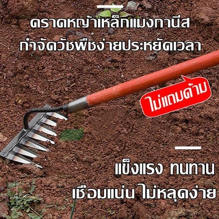 คราด คราดหญ้า คราดเหล็ก 7ฟัน คราดถากหญ้า คาดหญ้า คราดเหล็ก คาดหญ้าเหล็ก คราด อุปกรณ์ทำสวน