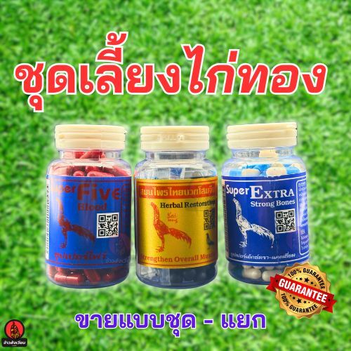 ไก่ทอง บำรุงไก่ แคลเซียม โสมจีน