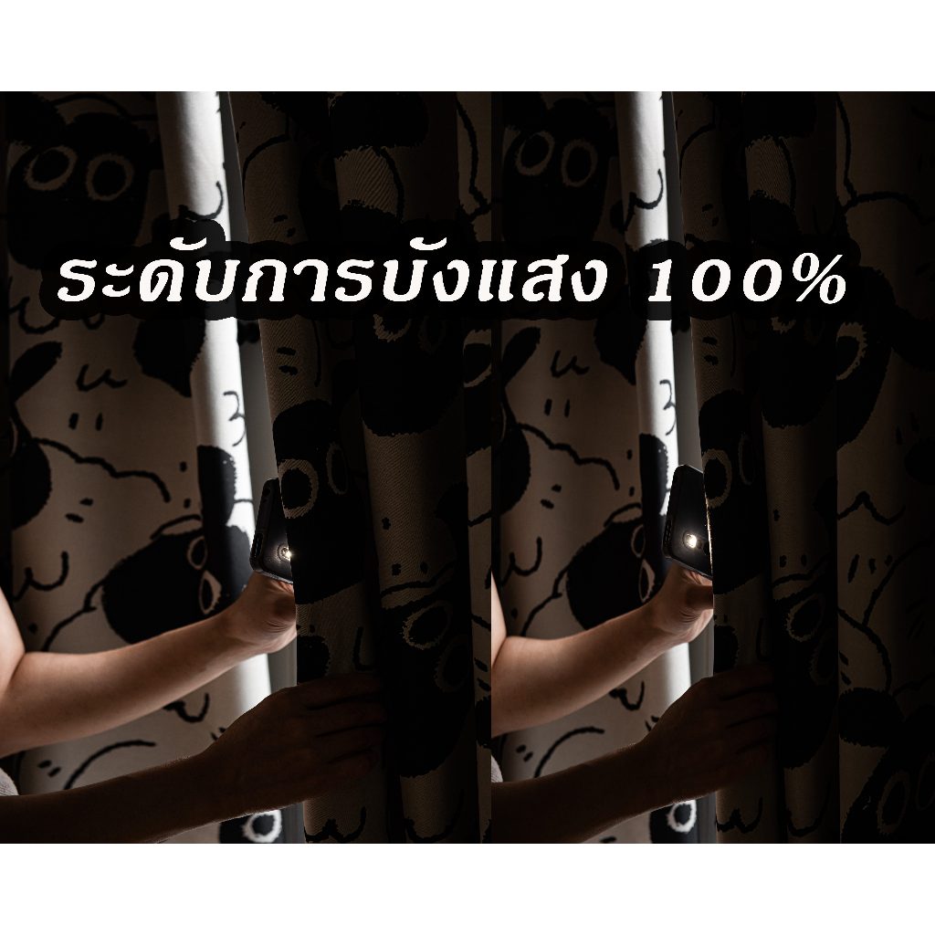 รูปภาพ 3