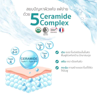 [รางวัลครีมกู้ผิวลูกแห่งปี2025] (โปร2 แถม 1เพียง 110 ) Lynn Organic Ceramide Daily Lotion โลชั่นบำรุงผิวเด็กพรีเมียม