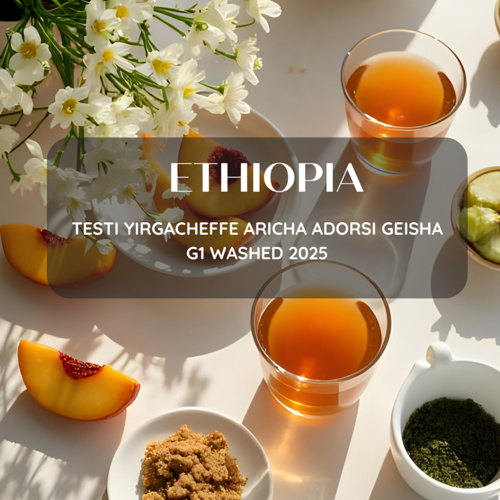 สารเมล็ดกาแฟ 2025 Crop Ethiopia Testi Yirgacheffe Aricha Adorsi Geisha G1 Washed