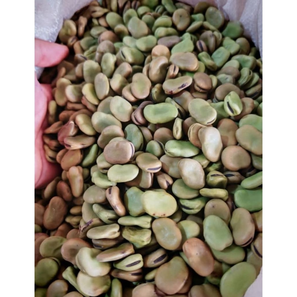 ถั่วปากอ้าดิบ ตากแห้ง 1กิโลกรัม