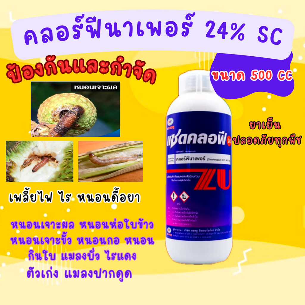 แซดคลอฟี คลอฟีนาเพอร์24%sc ยาเย็น ขนาด500cc สูตรครีมเข้มข้น บอกลาหนอน ไร เพลี้ยไฟ หนอนห่อใบข้าว หนอนม้วนใบข้าว