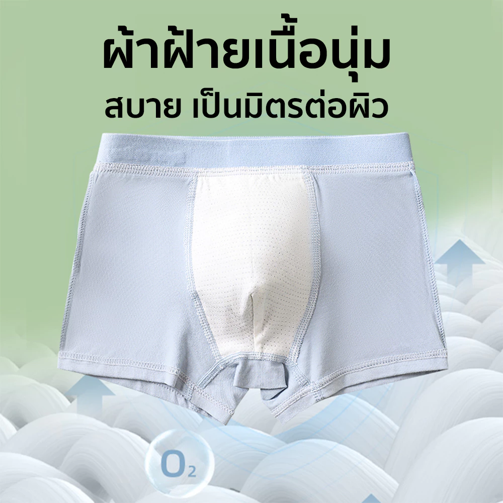 Patt mom กางเกงในเด็กชาย ผ้าฝ้ายใส่สบาย เสื้อผ้าเด็กผู้ชาย ผ้ายืดหยุ่น ระบายอากาศได้ดี (T-BZFSN) thumbnail 3