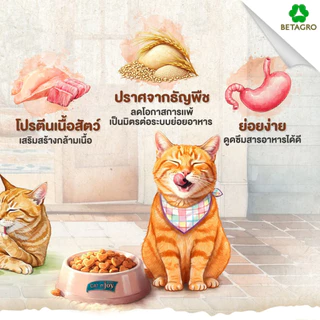 【7kg】Cat N Joy อาหารแมว กลิ่นหอมเย้ายวน รสชาติแสนอร่อย จากเครือเบทาโกร เน้นการดูดซึมที่ดี ทานง่าย