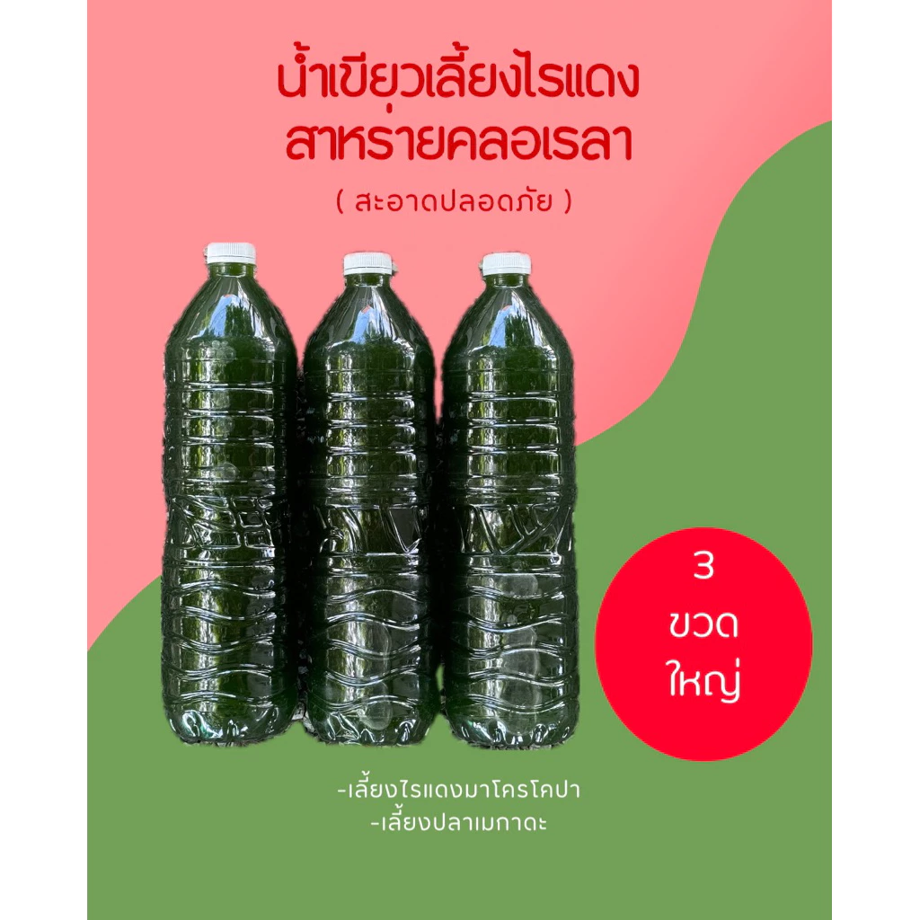 หัวเชื้อน้ำเขียวสาหร่ายคลอเรลา 1.5 ลิตร 3 ขวด ไข่ไรแดง T10 อาหารไรแดง หัวเชื้อน้ำเขียวสาหร่ายคอลเรล่า ปลา ชุดเพาะไรแดง